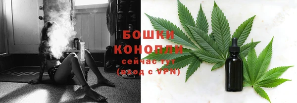 спайс Няндома