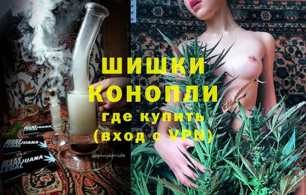 гидра Алексин
